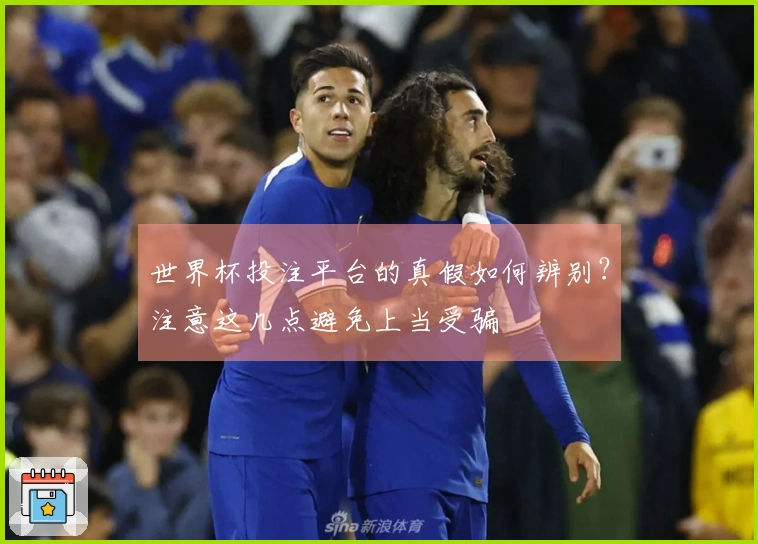 世界杯投注平台的真假如何辨别？注意这几点避免上当受骗