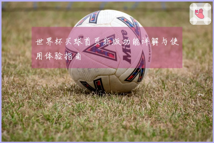 世界杯买球首页新版功能详解与使用体验指南