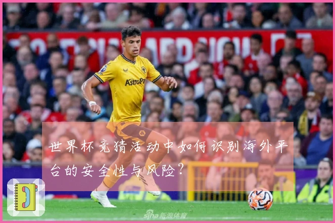 世界杯竞猜活动中如何识别海外平台的安全性与风险？